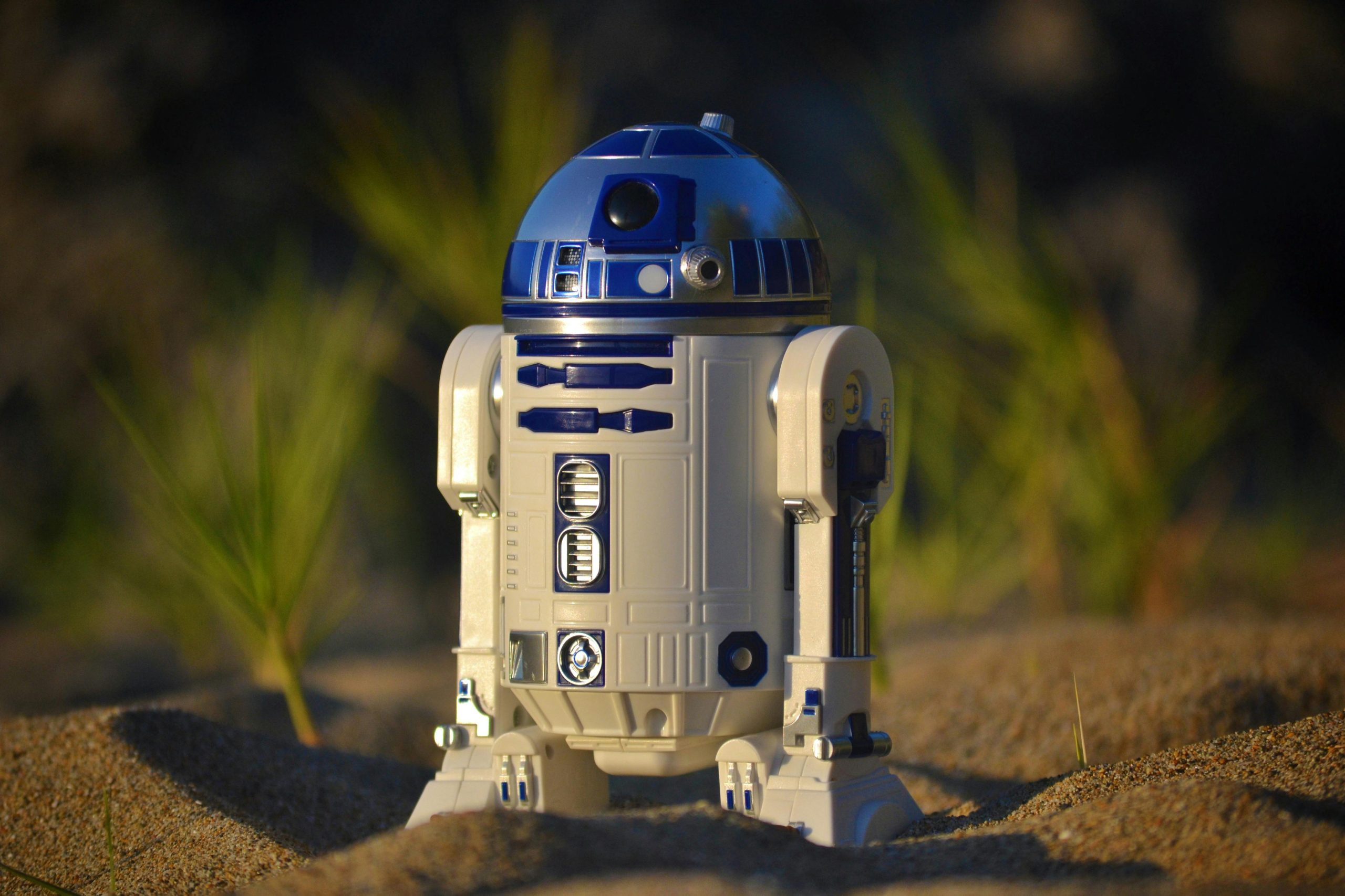 The Role of Robotics in Addressing Labor Shortages